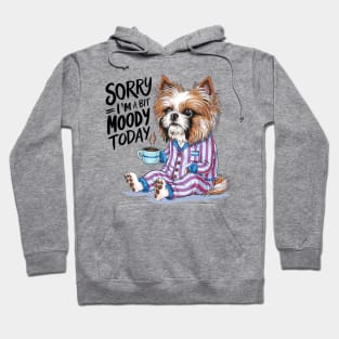 Sorry I'm A Bit Moody Today dog Hoodie